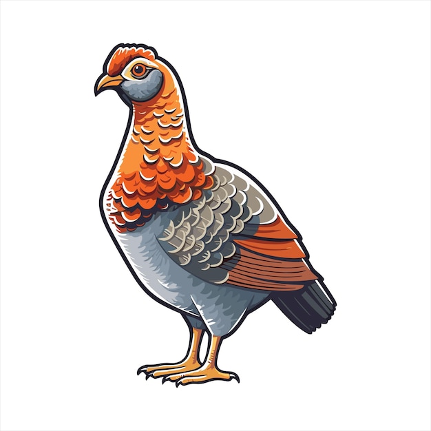 Urogallo lindo divertido dibujos animados Kawaii Clipart colorido acuarela pájaro animal mascota ilustración