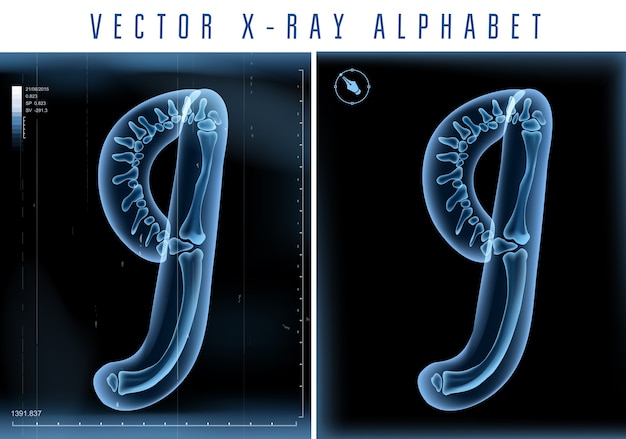 Uso de alfabeto transparente de rayos X 3D en logotipo o texto. Número nueve, 9