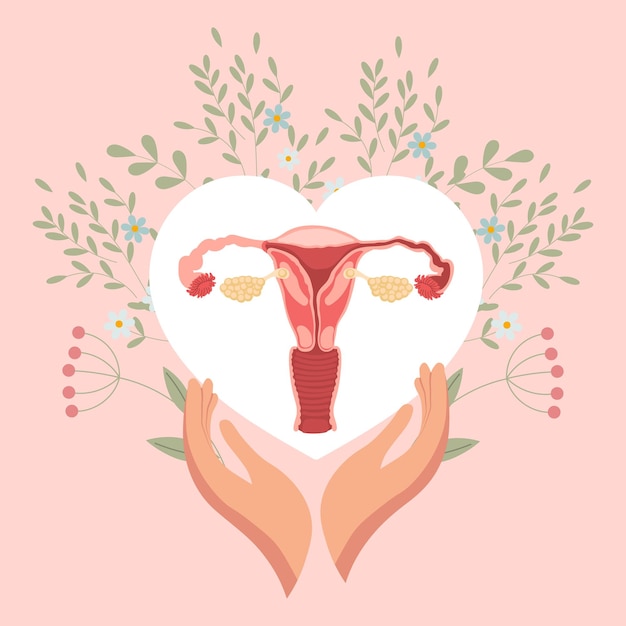 Vector Útero femenino en un corazón con flores en las manos vector de banner de cartel médico