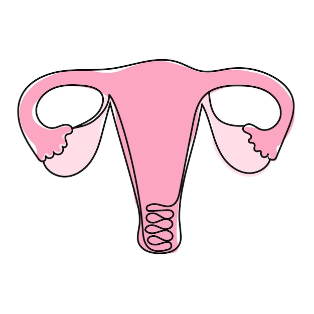 Útero de una mujer en una línea con una mancha rosa en un fondo blanco Ilustración de la reproducción de una mujer