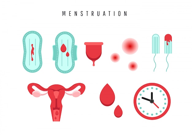 Vector Útero con órgano ovárico, hisopos, junta, copa menstrual y gota de sangre.