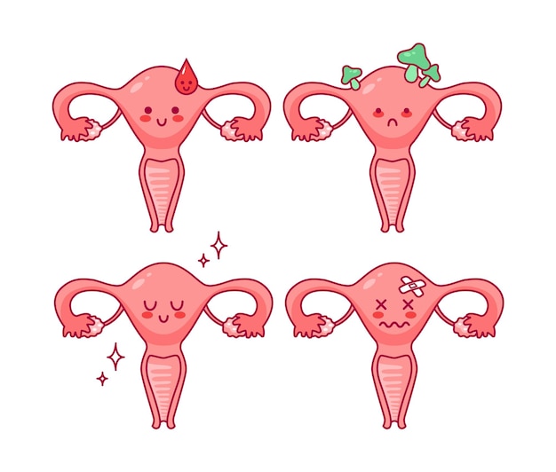 Útero personaje de dibujos animados lindo en estilo kawaii gota de sangre menstruación Mujeres Salud Ciclo del sistema reproductivo femenino anatomía cuello uterino ovarios trompas de Falopio Ilustración vectorial estilo plano