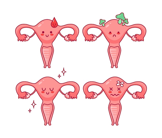 Vector Útero personaje de dibujos animados lindo en estilo kawaii gota de sangre menstruación mujeres salud ciclo del sistema reproductivo femenino anatomía cuello uterino ovarios trompas de falopio ilustración vectorial estilo plano