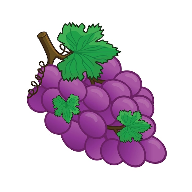 Uva uva vector uvas vector icono dibujos animados uvas frescas uva morada fresca con hoja