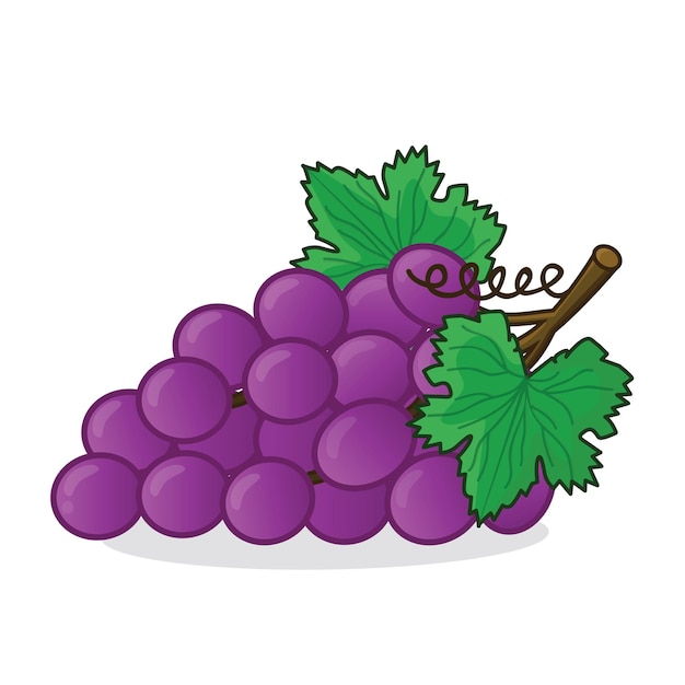 Uva uva vector uvas vector icono dibujos animados uvas frescas uva morada fresca con hoja