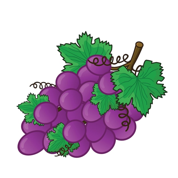 Uva uva vector uvas vector icono dibujos animados uvas frescas uva morada fresca con hoja