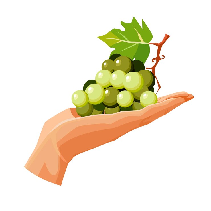 Vector uva verde en la palma aislada sobre un fondo blanco clipart vectorial en estilo plano para el diseño