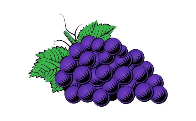 Uvas en el estilo del arte de la línea antigua