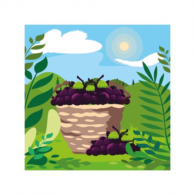 Vector uvas con rama en cesta de mimbre en paisaje de fondo