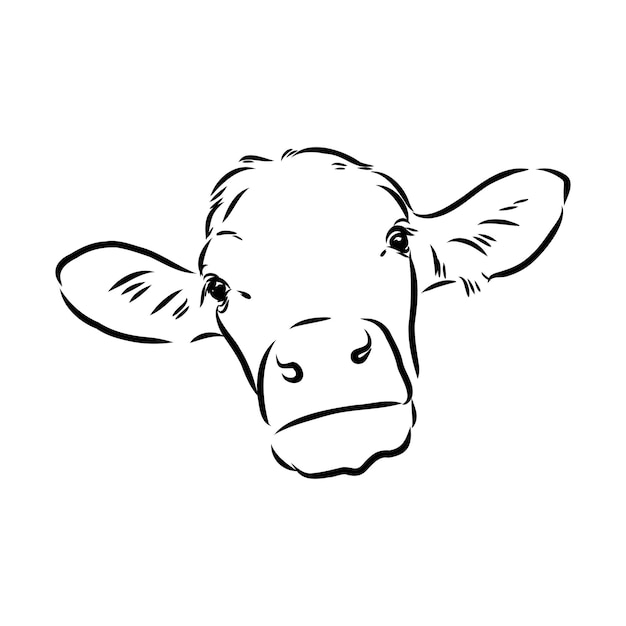 Vaca aislada comiendo hierba sobre un fondo blanco silueta de línea de dibujo en blanco y negro