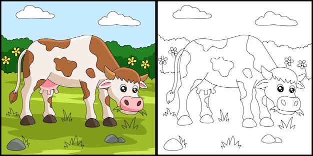 Vaca página para colorear ilustración coloreada