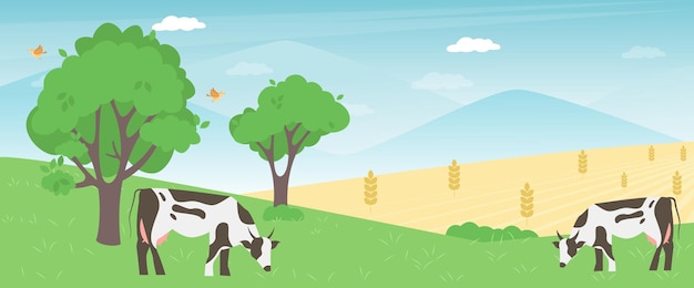 Vacas que cultivan en concepto de negocio agrícola del prado verde de la primavera. Terneros comiendo hierba fresca. Ilustración de vector de campo animal rural. Bandera de la industria ganadera ganadera.