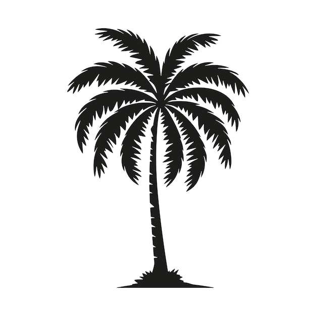 el vactor de la palmera