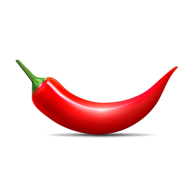 Vaina de ají natural al rojo vivo Diseño para productos culinarios receta de paquete de especias o libro de cocina