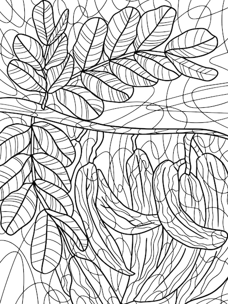 Vainas de algarroba colgando de un algarrobo Dibujo a mano alzada para la página de coloración antiestrés para adultos