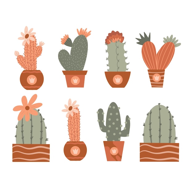 Varias colecciones de cactus en macetas boho en colores terracota