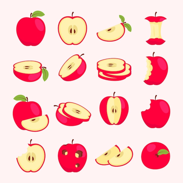 varias colecciones de rodajas de manzana fresca ilustración dibujada a mano