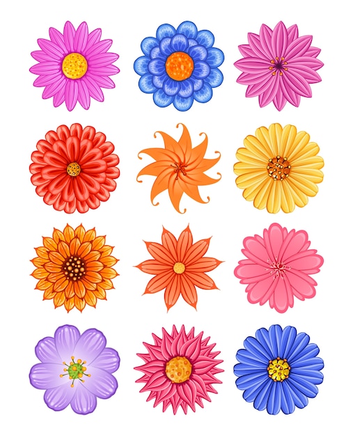Vector varias flores de colores
