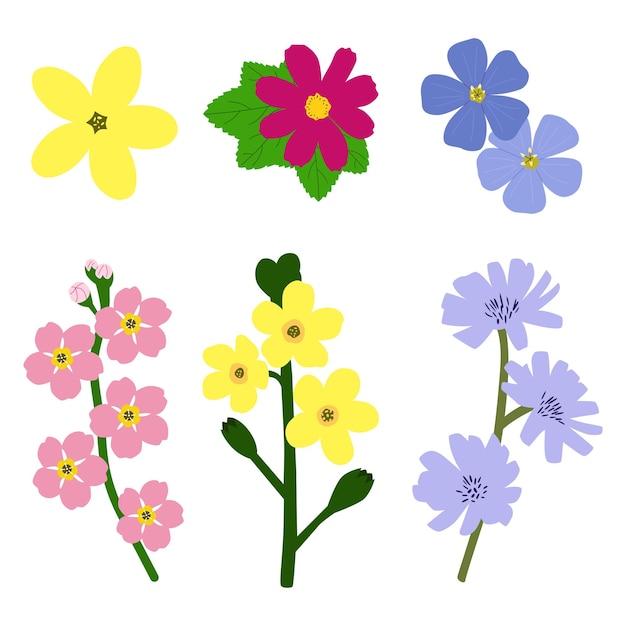 Vector varias flores con hermosos tallos y hojas