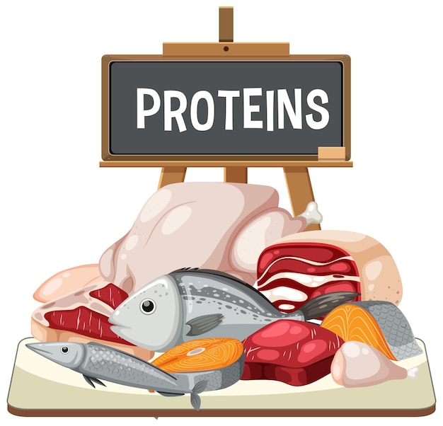 Varias fuentes de proteínas dietéticas