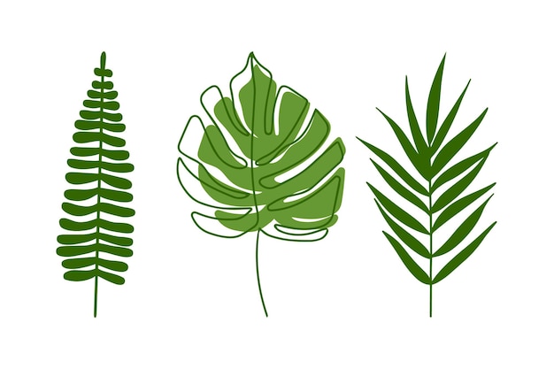 Varias hojas tropicales sobre un fondo blanco