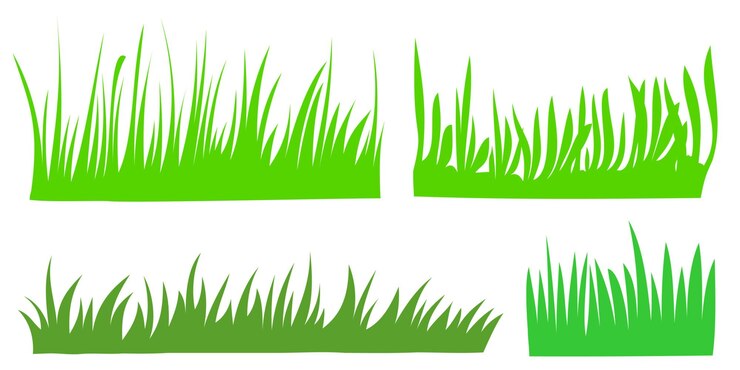 Vector varias ilustraciones de hierba verde sobre un fondo blanco