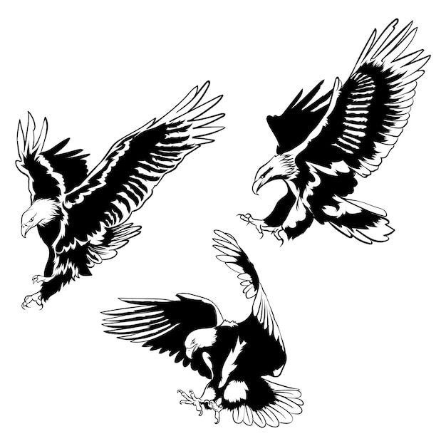 varias poses de águila negra y blanca en un fondo vectorial blanco