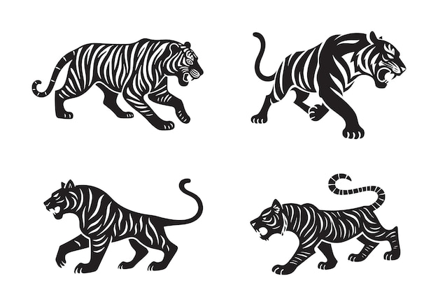 Varias posturas de tigre rugiendo corriendo y caminando silueta ilustraciones vectoriales conjunto de colecciones