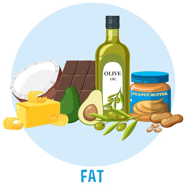 Vector variedad de alimentos grasos