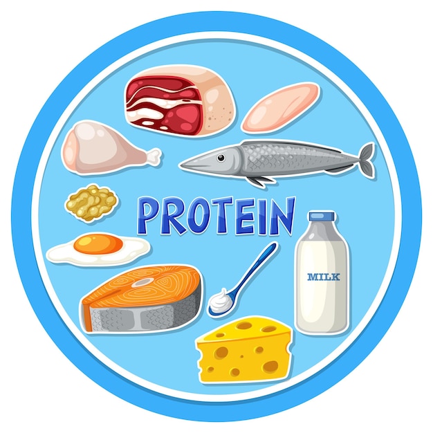 Vector variedad de alimentos proteicos.