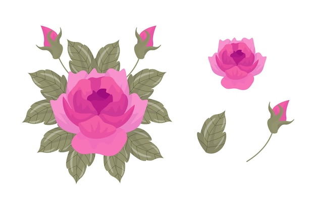 Una variedad de arreglos coloridos de hermosas hojas y flores