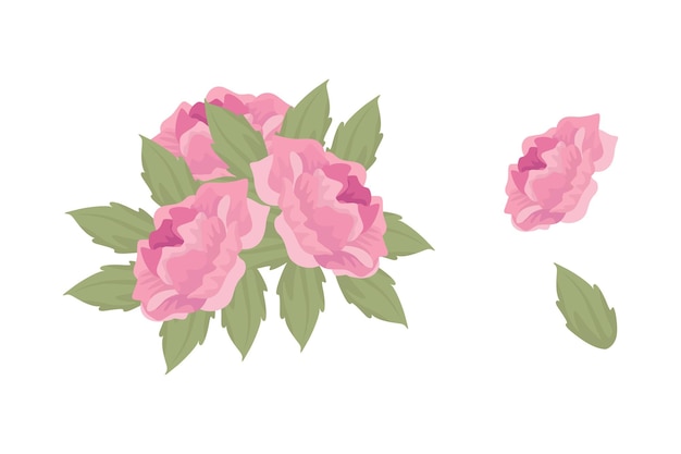 Una variedad de arreglos coloridos de hermosas hojas y flores