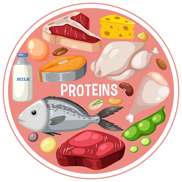 Vector variedad de carnes proteicas con texto.