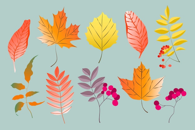 Variedad de coloridas hojas de otoño de moda ilustraciones vectoriales para aplicaciones web e impresión forma elegante