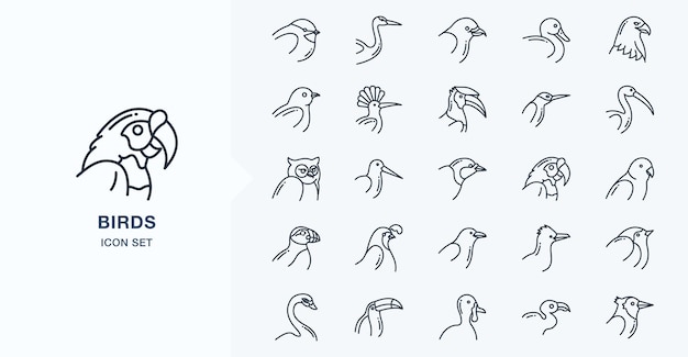Variedad de iconos de vector de aves