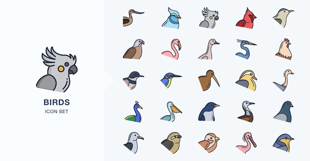 Variedad de iconos de vector de aves