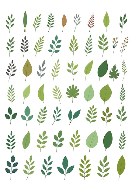 Variedad de ilustraciones de hojas verdes