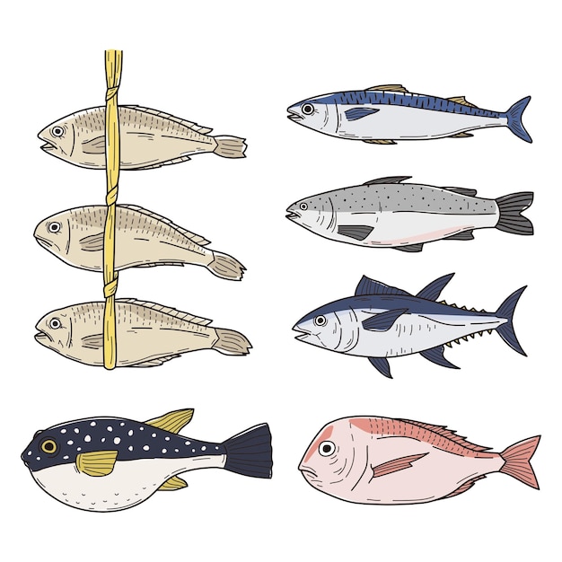 Una variedad de ilustraciones de peces