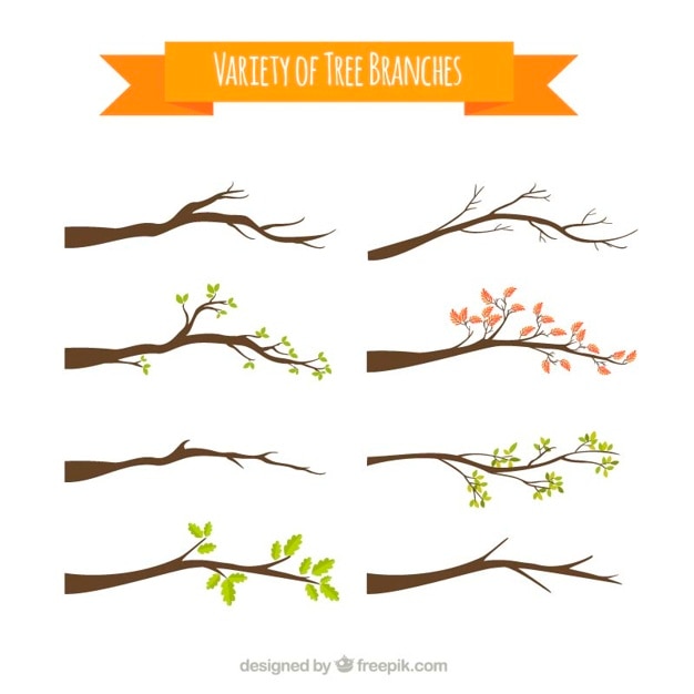 Vector variedad de ramas de árbol