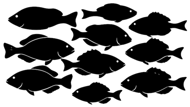 una variedad de tipos de peces tilapia de todo el mundo con cada silueta 18