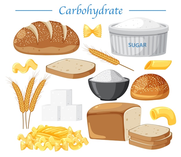 Vector variedad de vector de alimentos de carbohidratos