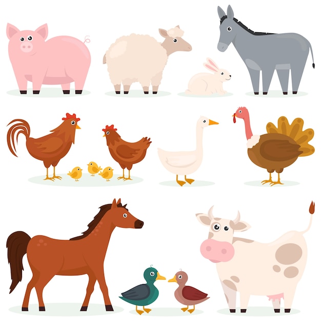 Varios animales mascotas granja conjunto plano de personajes de dibujos animados