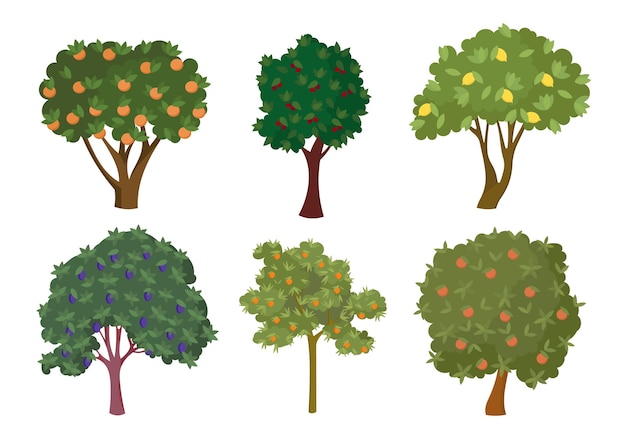 Varios árboles frutales con frutas maduras conjunto de ilustraciones de dibujos animados. Maderas dulces de cerezo, limón, naranja, manzana, mandarina o arbustos. Plantas de jardín o huerta durante la maduración de la fruta. Naturaleza, concepto de comida