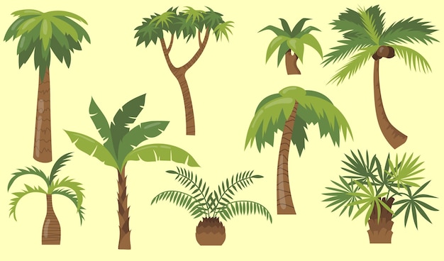 Varios dibujos animados palmeras conjunto de iconos planos