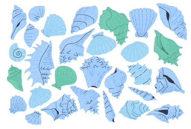 Varios paquetes de ilustraciones de conchas de mar planas