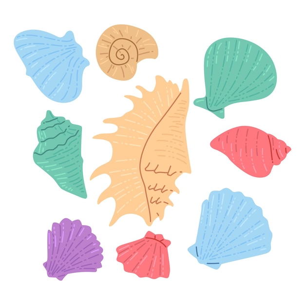 Varios paquetes de ilustraciones de conchas de mar planas