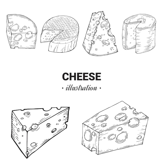 Con varios quesos de croquis. ilustración dibujada a mano