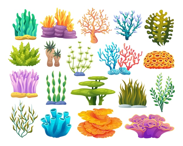 Varios tipos de arrecifes de coral e ilustración de dibujos animados de algas