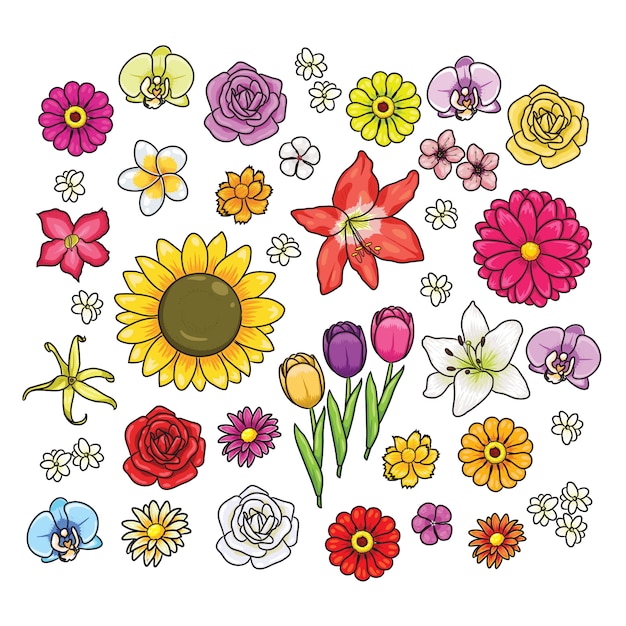 Varios tipos de flores de dibujos animados