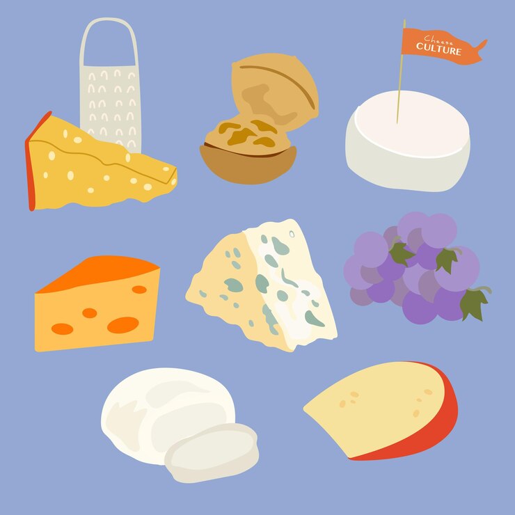Vector varios tipos de queso vectorial brie queso dorblu cheddar parmesano camembert